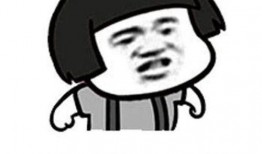 我真笨,揭秘自我认知与成长之路